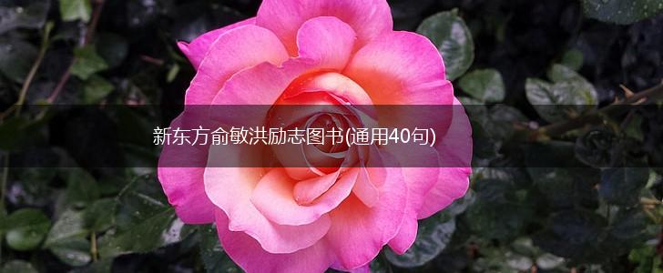 新东方俞敏洪励志图书(通用40句),第1张