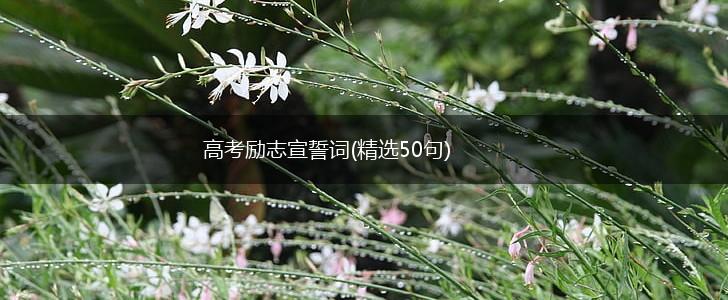 高考励志宣誓词(精选50句),第1张