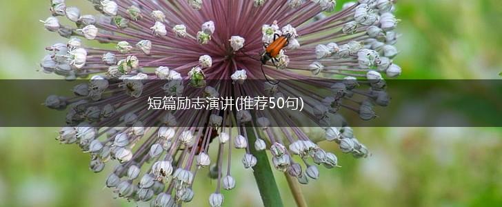 短篇励志演讲(推荐50句),第1张