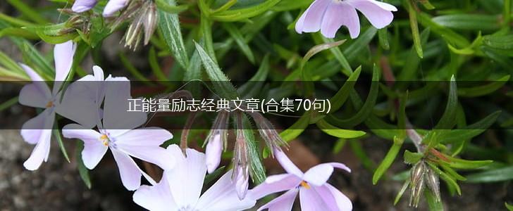 正能量励志经典文章(合集70句),第1张 正能量励志经典文章(合集70句),第1张