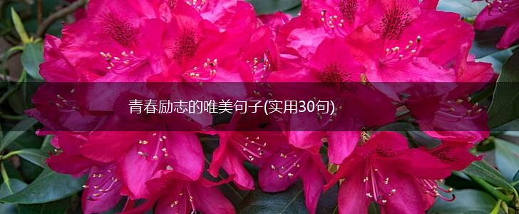 青春励志的唯美句子(实用30句),第1张