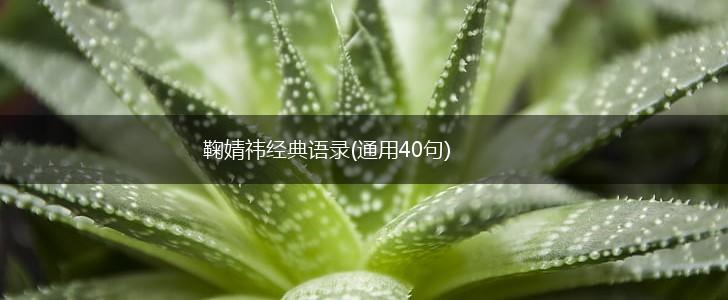 鞠婧祎经典语录(通用40句),第1张