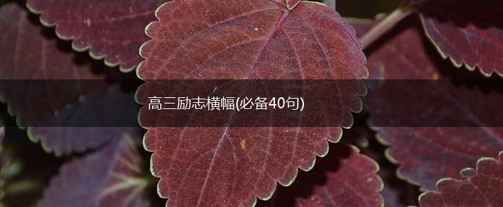 高三励志横幅(必备40句),第1张