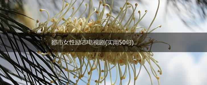 都市女性励志电视剧(实用50句),第1张