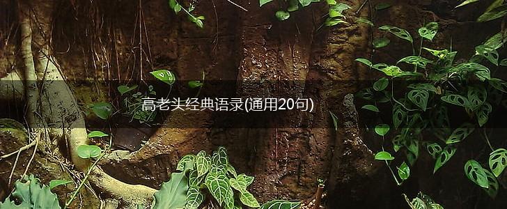 高老头经典语录(通用20句),第1张