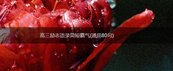 高三励志语录简短霸气(通用80句),第1张