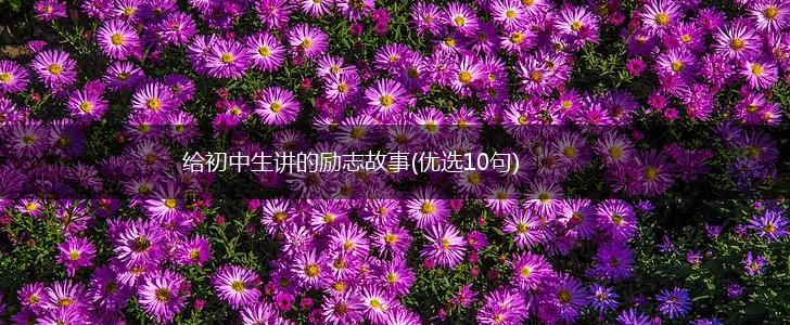 给初中生讲的励志故事(优选10句),第1张 给初中生讲的励志故事(优选10句),第1张