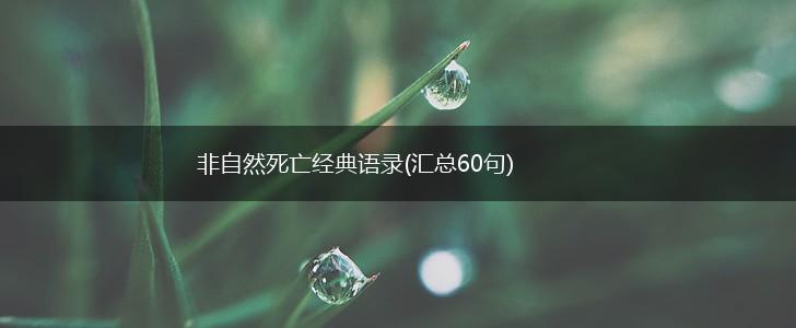 非自然死亡经典语录(汇总60句),第1张