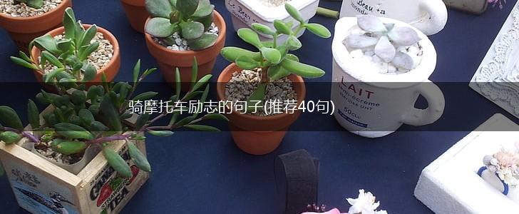 骑摩托车励志的句子(推荐40句),第1张