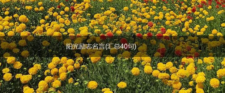 阳光励志名言(汇总40句),第1张