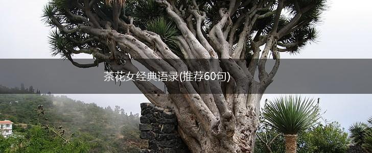 茶花女经典语录(推荐60句),第1张