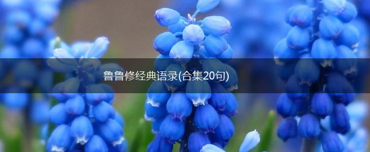 鲁鲁修经典语录(合集20句),第1张