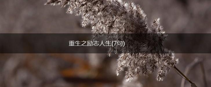 重生之励志人生(7句),第1张