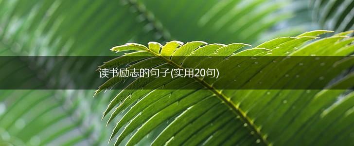 读书励志的句子(实用20句),第1张