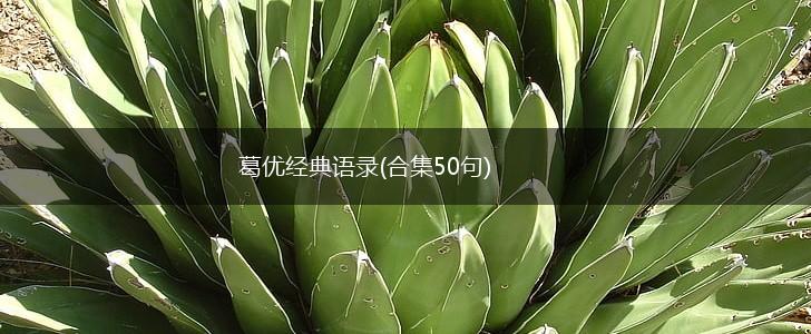 葛优经典语录(合集50句),第1张