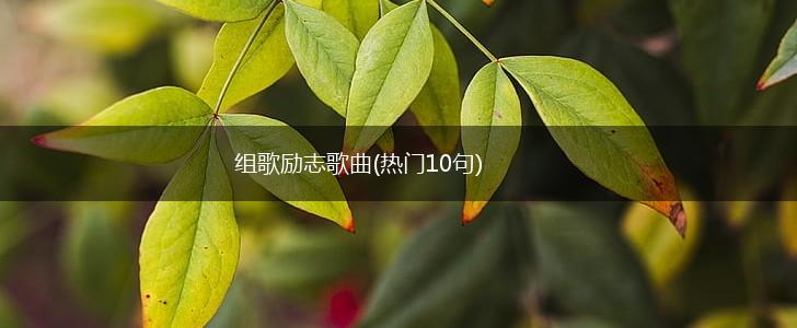 组歌励志歌曲(热门10句),第1张 组歌励志歌曲(热门10句),第1张