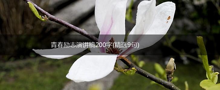 青春励志演讲稿200字(精选9句),第1张