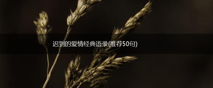迟到的爱情经典语录(推荐50句),第1张