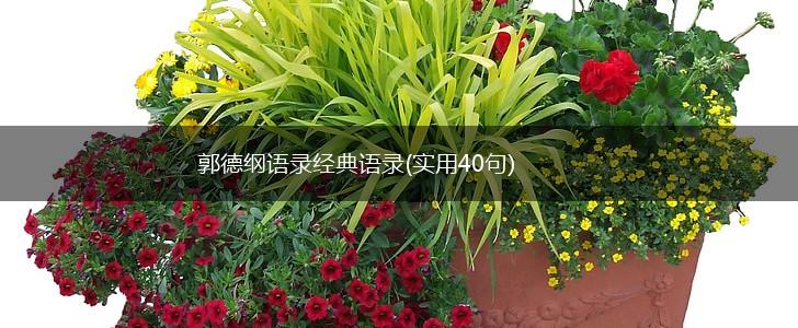 郭德纲语录经典语录(实用40句),第1张