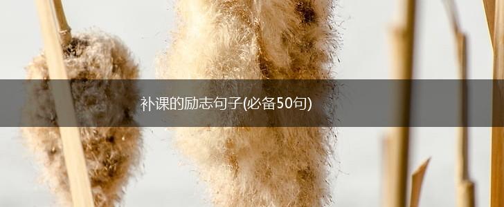 补课的励志句子(必备50句),第1张