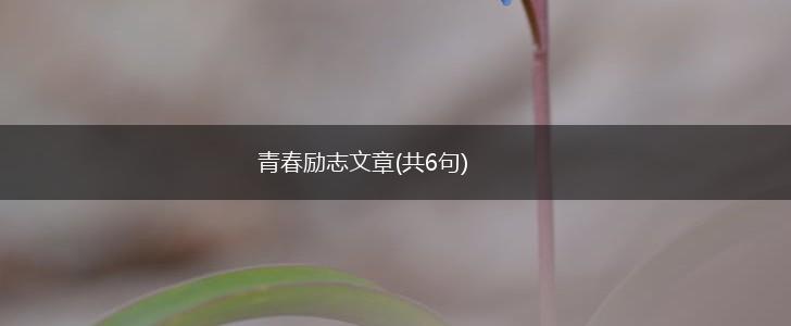 青春励志文章(共6句),第1张