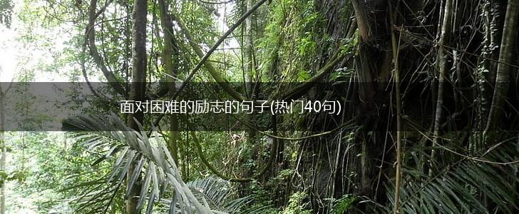 面对困难的励志的句子(热门40句),第1张