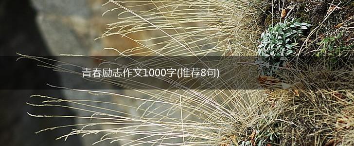 青春励志作文1000字(推荐8句),第1张