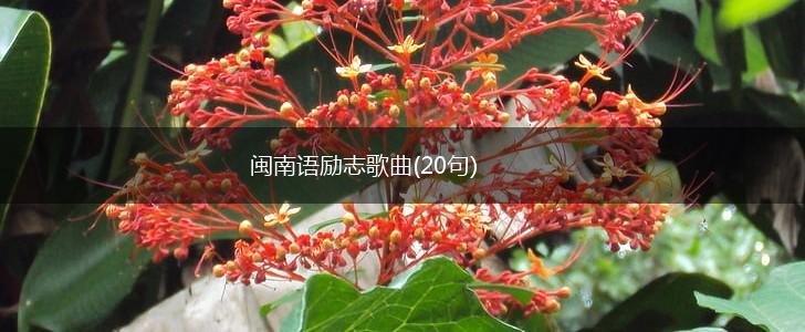 闽南语励志歌曲(20句),第1张