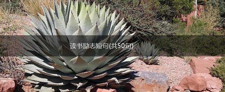 读书励志短句(共50句),第1张