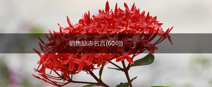 销售励志名言(60句),第1张