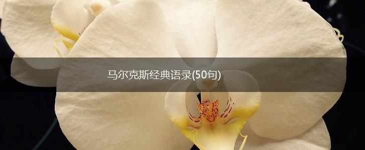 马尔克斯经典语录(50句),第1张
