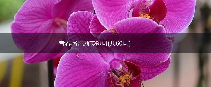 青春格言励志短句(共60句),第1张