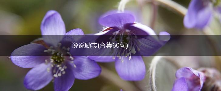 说说励志(合集60句),第1张