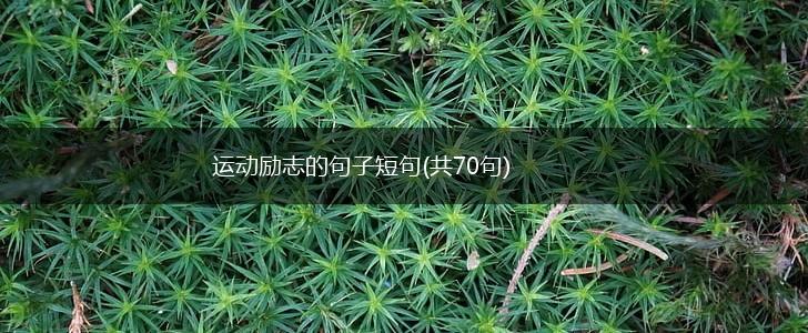运动励志的句子短句(共70句),第1张