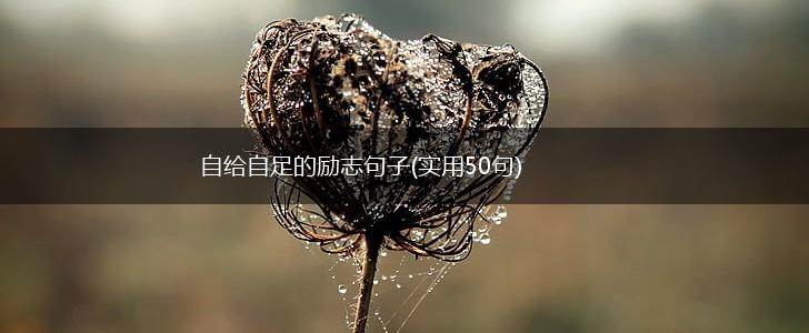 自给自足的励志句子(实用50句),第1张