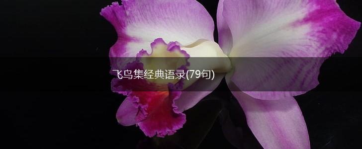 飞鸟集经典语录(79句),第1张