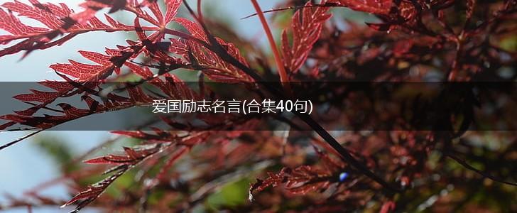 爱国励志名言(合集40句),第1张