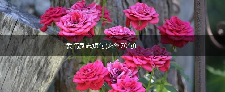 爱情励志短句(必备70句),第1张