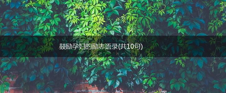 鼓励孕妇的励志语录(共10句),第1张