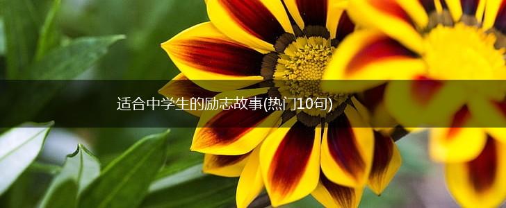 适合中学生的励志故事(热门10句),第1张