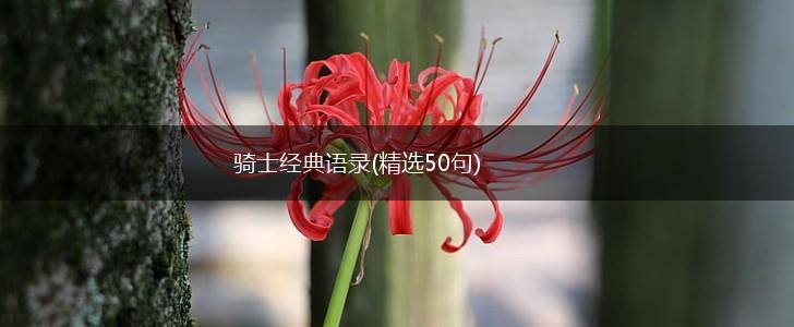 骑士经典语录(精选50句),第1张