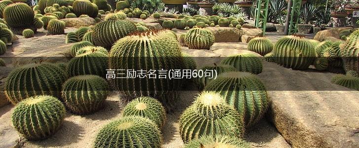 高三励志名言(通用60句),第1张