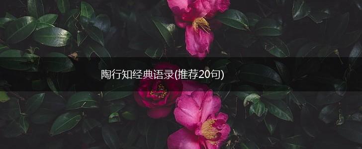 陶行知经典语录(推荐20句),第1张
