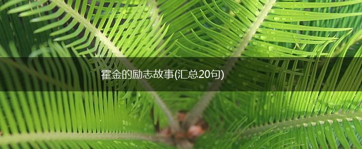霍金的励志故事(汇总20句),第1张