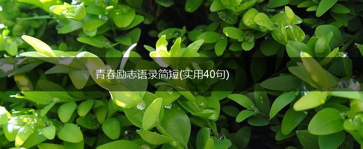 青春励志语录简短(实用40句),第1张