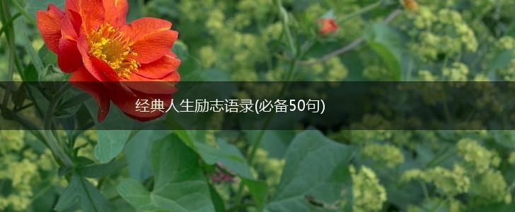 经典人生励志语录(必备50句),第1张