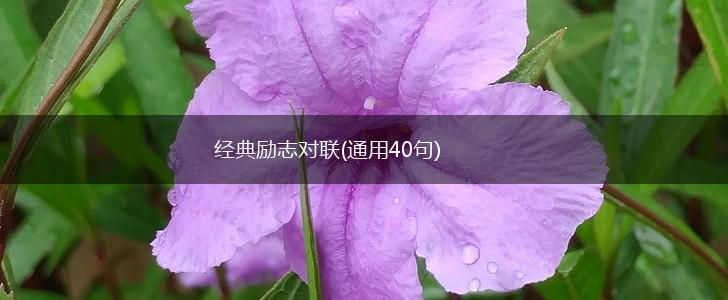 经典励志对联(通用40句),第1张