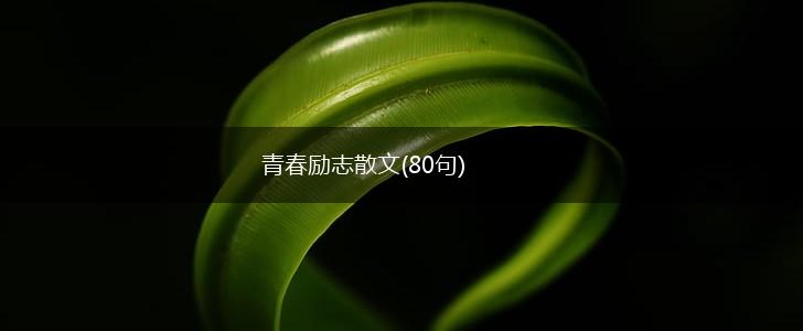 青春励志散文(80句),第1张