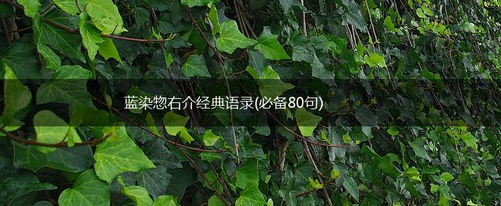 蓝染惣右介经典语录(必备80句),第1张