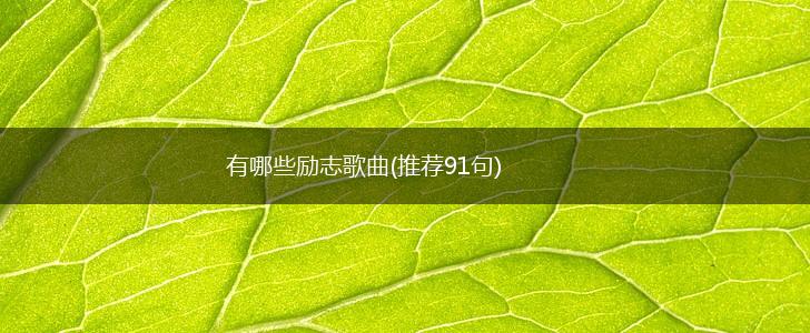 有哪些励志歌曲(推荐91句),第1张